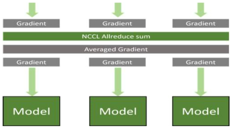 Data parallelism model with NCCL