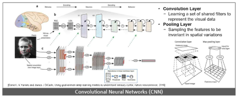 Convolution Neural Networks
