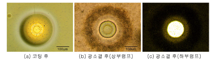 광학현미경 사진 (a) 코팅막의 공기방울, (b)(c) 구리 시드층의 핀홀