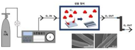 오존표면처리장비 모식도 및 표면 거칠기 변화