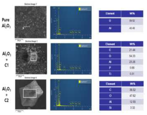 알루미나 및 개질된 알루미나의 SEM 및 EDX 분석결과