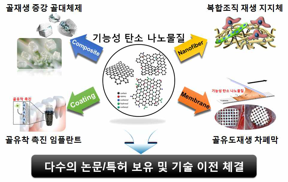 기능성 탄소 나노물질 기반 미래융합 의료기기의 중장기 개발 계획