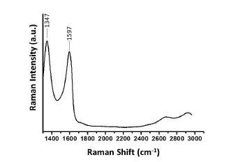 라만 분광법을 이용한 탄소 나노물질 코팅 임플란트 고정체의 표면특성 분석결과