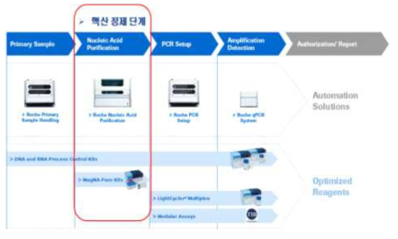 Roche의 Realtime PCR 기반 분자진단의 Work Flow