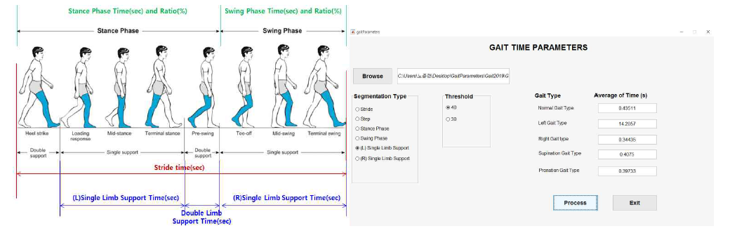 Gait Parameters 정의(좌), Gait Parameters 추출 프로그램 개발 결과(우)