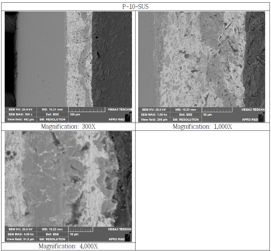SUS Bonded Si3N4 Substrate Cross Section SEM Microstructure (P-10-SUS)