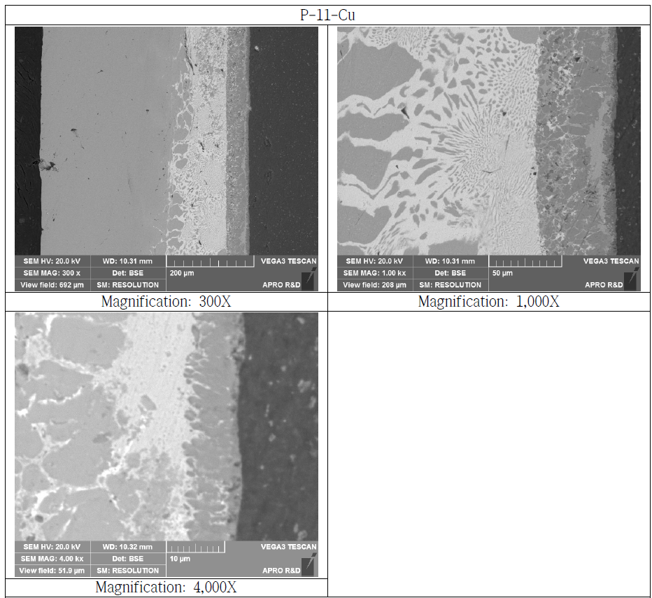 Copper Bonded Si3N4 Substrate Cross Section SEM Microstructure (P-11-Cu)