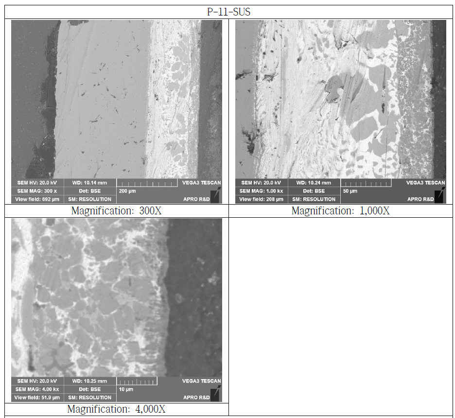 SUS Bonded Si3N4 Substrate Cross Section SEM Microstructure (P-11-SUS)