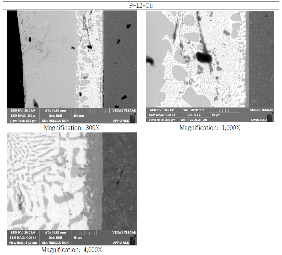 Copper Bonded Si3N4 Substrate Cross Section SEM Microstructure (P-12-Cu)