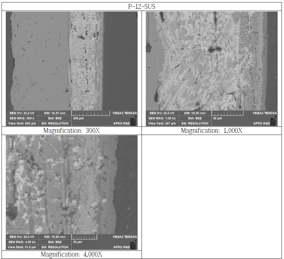 SUS Bonded Si3N4 Substrate Cross Section SEM Microstructure(P-12-SUS)