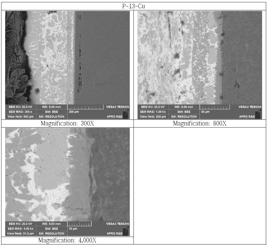 Copper Bonded Si3N4 Substrate Cross Section SEM Microstructure (P-13-Cu)