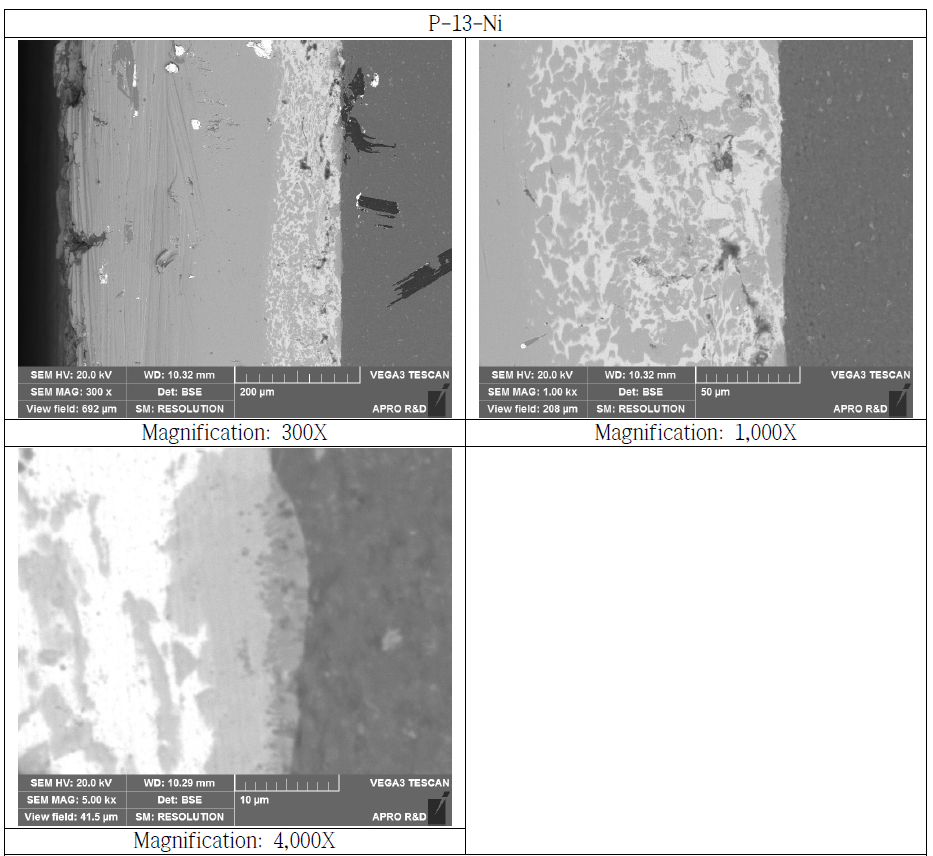 Nikel Bonded Si3N4 Substrate Cross Section SEM Microstructure (P-13-Ni)