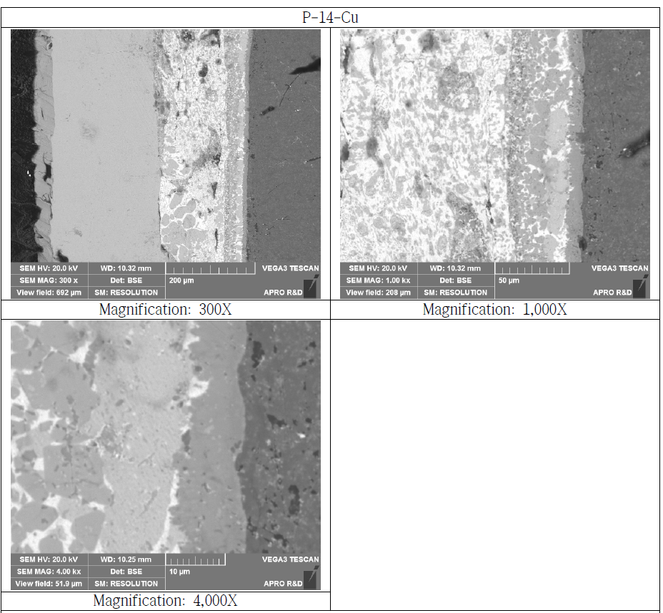 Copper Bonded Si3N4 Substrate Cross Section SEM Microstructure(P-14-Cu)