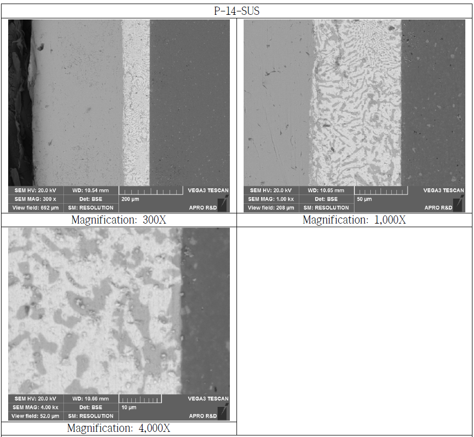 SUS Bonded Si3N4 Substrate Cross Section SEM Microstructure (P-14-SUS)