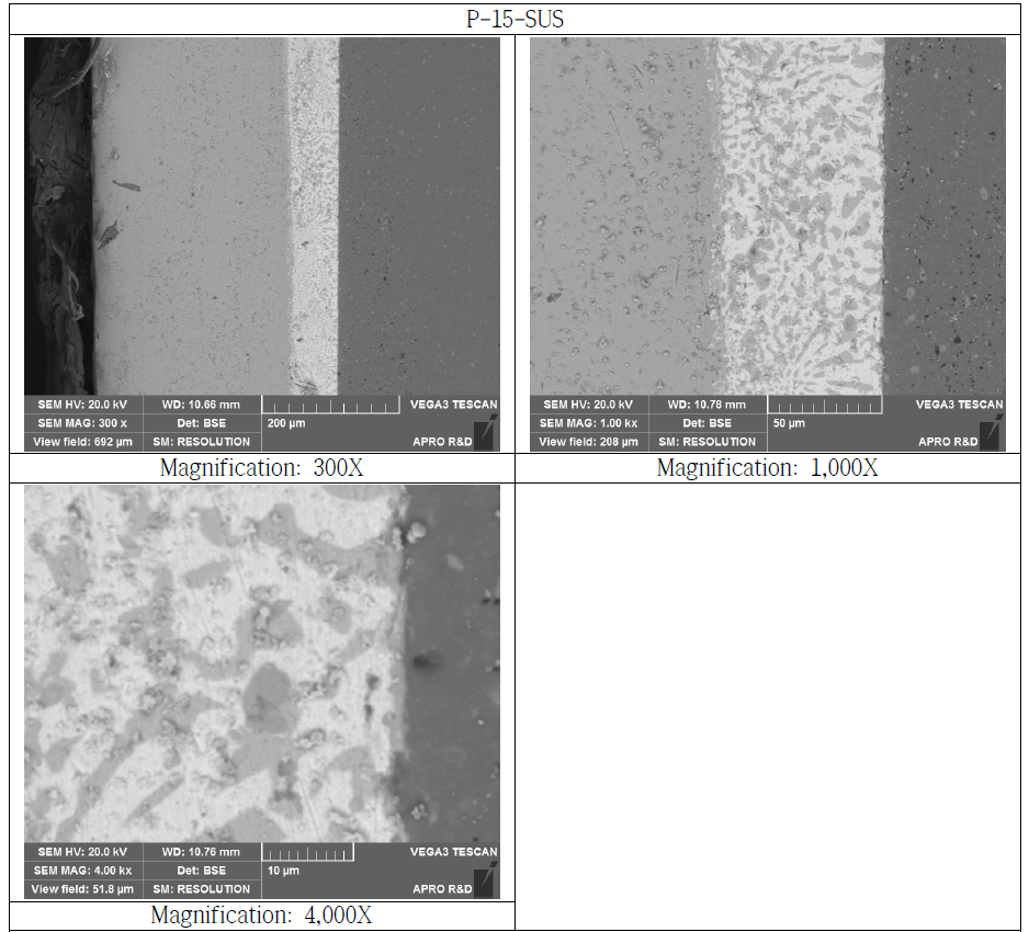 SUS Bonded Si3N4 Substrate Cross Section SEM Microstructure(P-15-SUS)