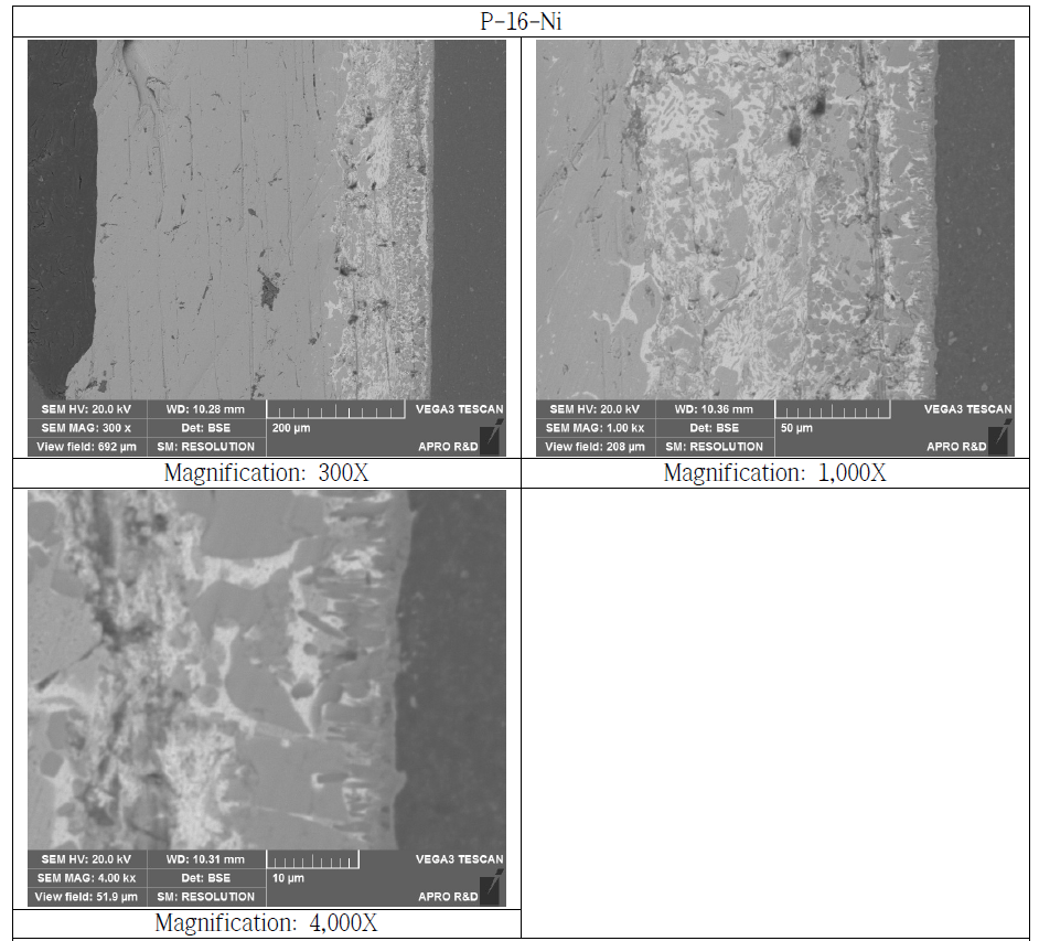 Nikel Bonded Si3N44 Substrate Cross Section SEM Microstructure (P-16-Ni)