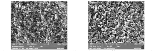 SEM microstructure observation of silicon nitride substrate (a) Fracture surface (b) chemical etching surface