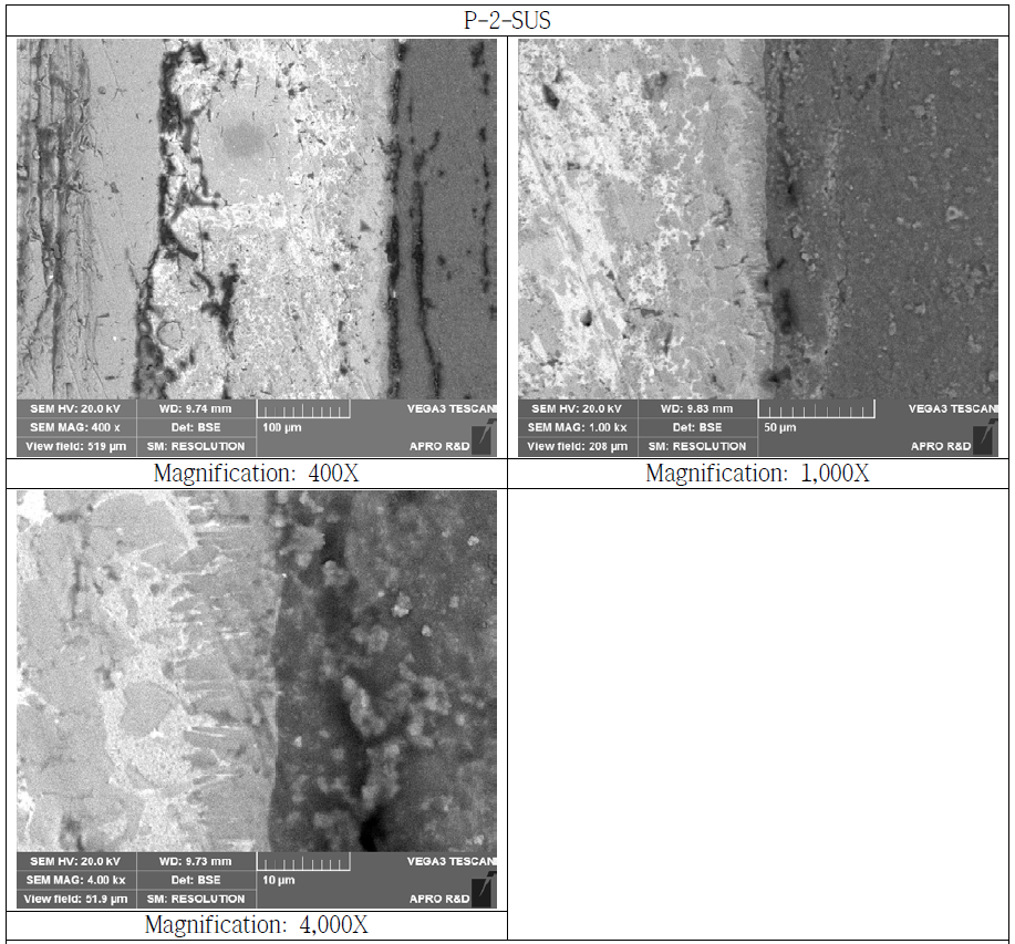 SUS Bonded Si3N4 Substrate Cross Section SEM Microstructure(P-2-SUS)