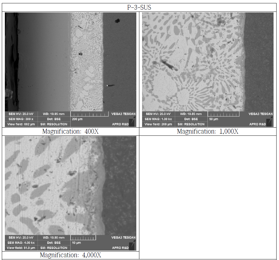 SUS Bonded Si3N4 Substrate Cross Section SEM Microstructure (P-3-SUS)