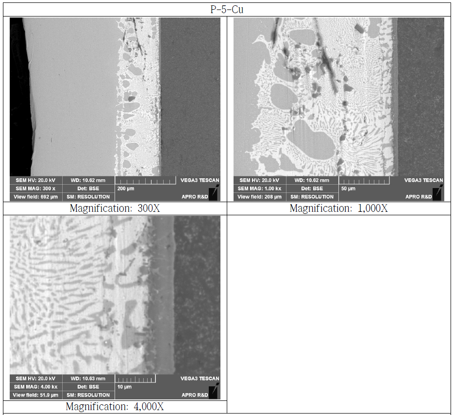 Copper Bonded Si3N4 Substrate Cross Section SEM Microstructure (P-5-Cu)