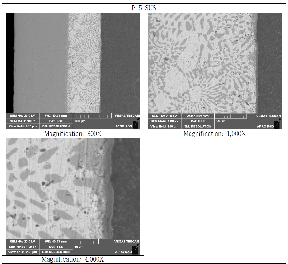 SUS Bonded Si3N4 Substrate Cross Section SEM Microstructure (P-5-SUS)