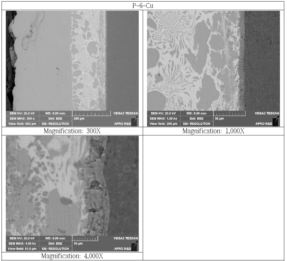 Copper Bonded Si3N4 Substrate Cross Section SEM Microstructure(P-6-Cu)