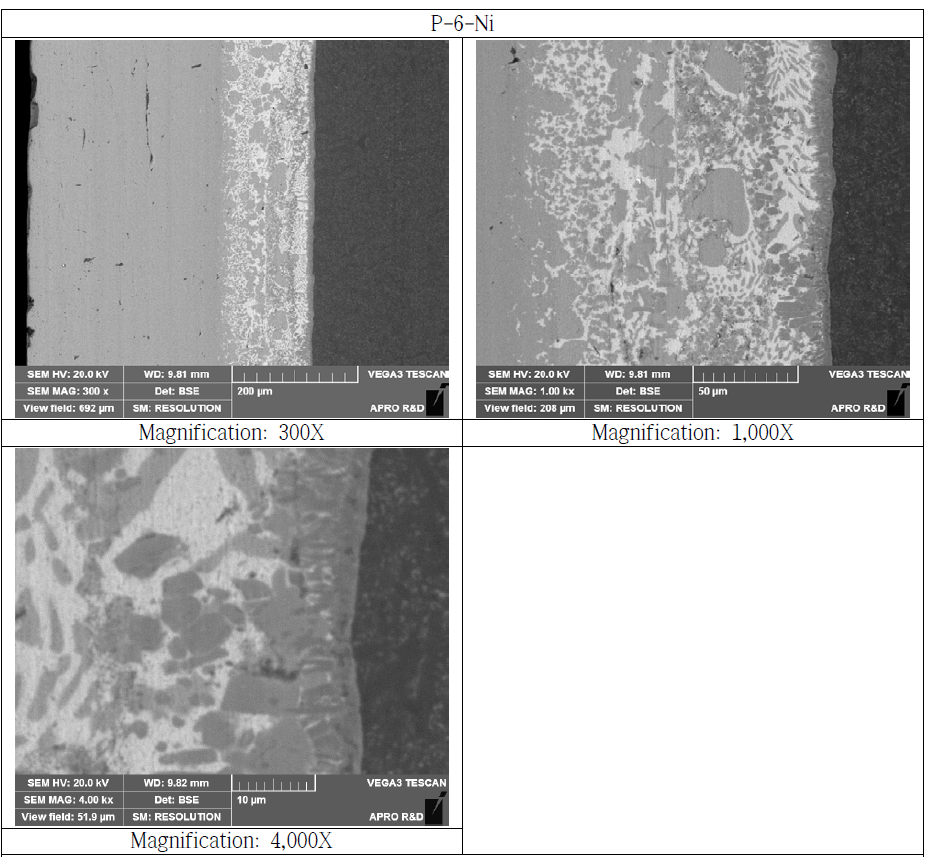 Nickel Bonded Si3N4 Substrate Cross Section SEM Microstructure (P-6-Ni)