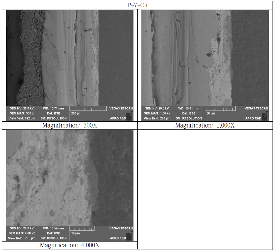 Copper Bonded Si3N4 Substrate Cross Section SEM Microstructure (P-7-Cu)