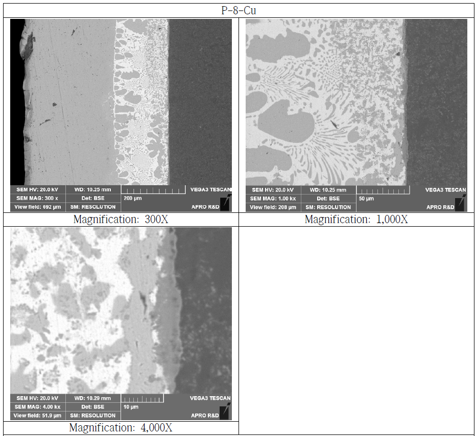 Copper Bonded Si3N4Substrate Cross Section SEM Microstructure (P-8-Cu)