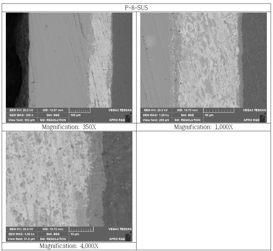 SUS Bonded Si3N4 Substrate Cross Section SEM Microstructure (P-8-SUS)