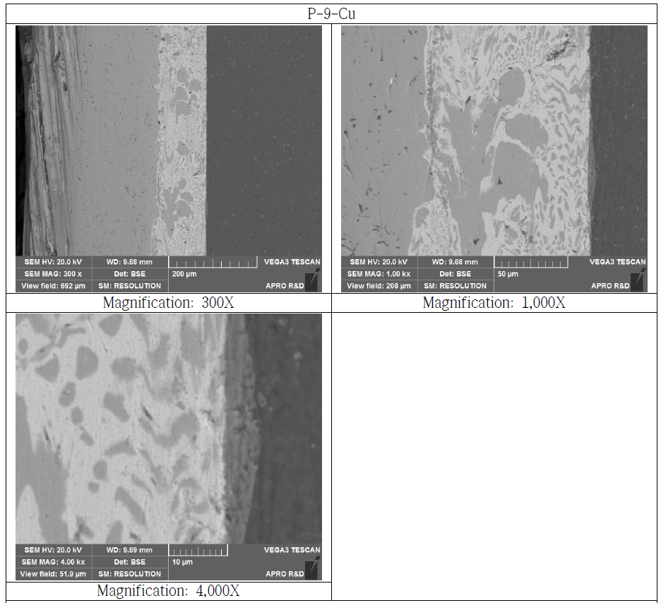 Copper Bonded Si3N4 Substrate Cross Section SEM Microstructure (P-9-Cu)
