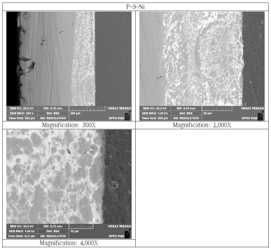 Nikel Bonded Si3N4 Substrate Cross Section SEM Microstructure (P-9-Ni)