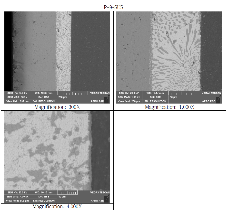 SUS Bonded Si3N4 Substrate Cross Section SEM Microstructure (P-9-SUS)