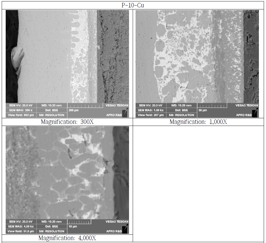 Copper Bonded Si3N4 Substrate Cross Section SEM Microstructure (P-10-Cu)