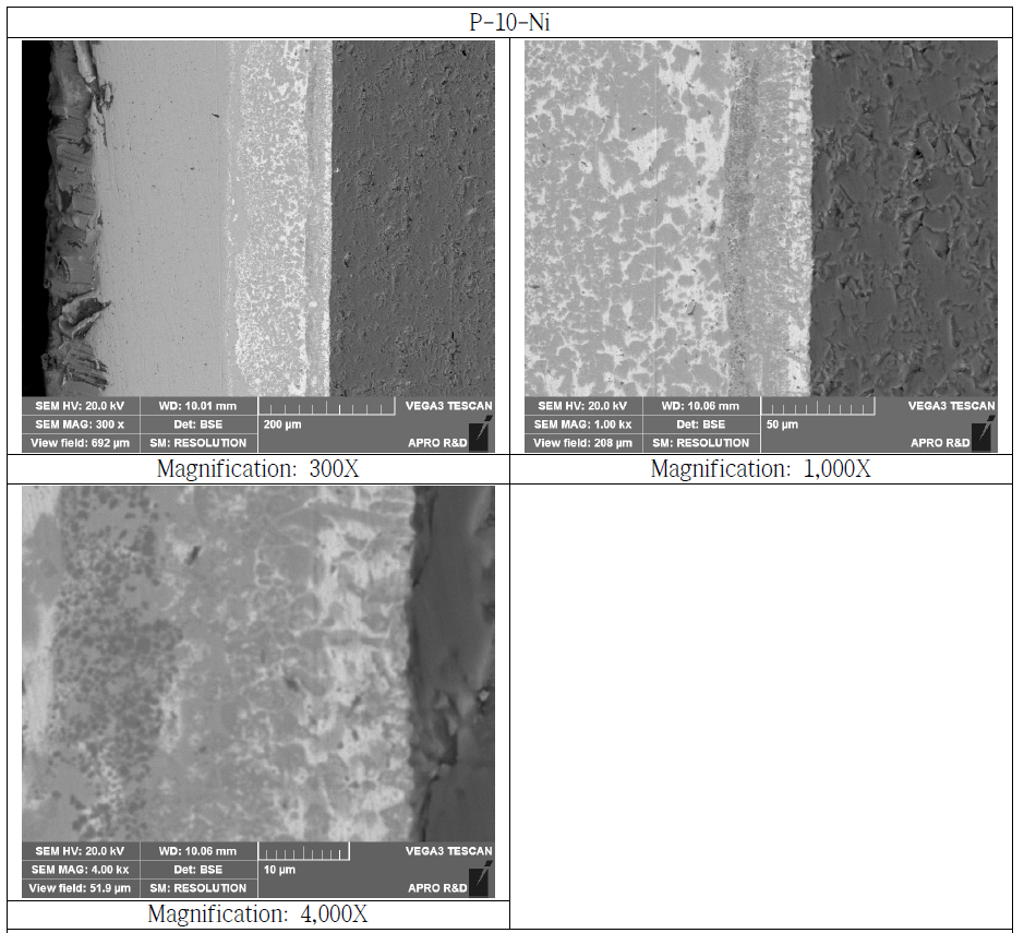 Nikel Bonded Si3N4 Substrate Cross Section SEM Microstructure (P-10-Ni)