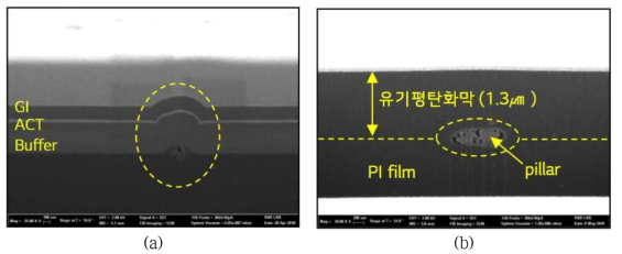 (a) 평탄화 전 Polyimide Film 단면, (b) 유기막 코팅 후 Polyimide 단면