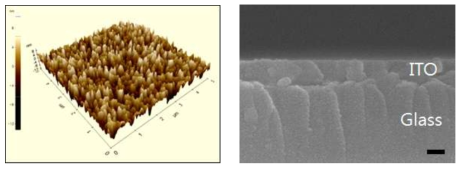 Cholorobenze에 의한 손상된 Poly-TPD layer의 표면사진(좌:AFM, 우:SEM)