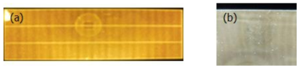 노즐 인쇄를 적용한 OLED 조명 소자의 발광 이미지 (a) 패널 이미지 , (b) 부분이미지
