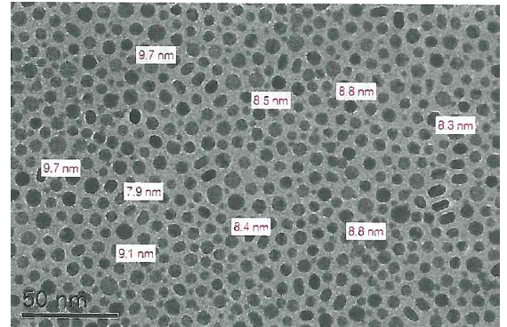 10nm이하 Ag nano 입자 (by TEM측정))