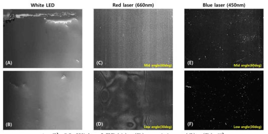 White LED(A), (B), red laser(C), (D) 및 blue laser(E),(F) 조사결과