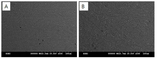 냉각속도 차이에 따른 미세구조 변화 (A) 냉각속도 증가 (기술선도업체 합금(일본)) (B) 일반 Strip casting 합금