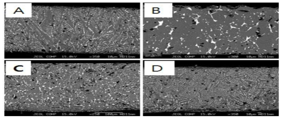 열처리 조건 변화에 따른 미세구조 변화 (A)모합금, (B) 1070℃열처리, (C) 850℃ 열처리, (D) 500℃ 열처리
