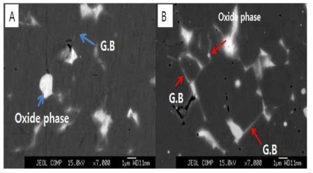 미세구조 차이 분석 (A) 일반성형 공정, (B) 저 산소 성형 공정