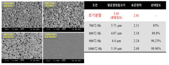 소결 온도에 따른 미세구조의 변화 (a)700 ̊C, (b)800℃, (c)900℃, (d)1000℃