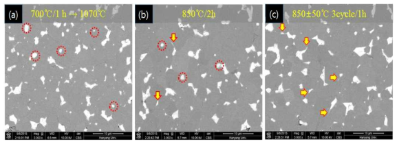 (a) 저온 소결을 이용한 소결체와 이후 (b)일반적인 열처리, (c)Cyclic 열처리를 적용했을 때의 미세구조