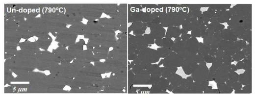 1차 열처리 이후 Ga을 첨가한 자석과 첨가하지 않은 자석의 미세구조