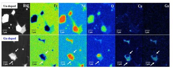 Ga 첨가 자석과 첨가하지 않은 자석의 성분 분포를 나타낸 mapping 이미지