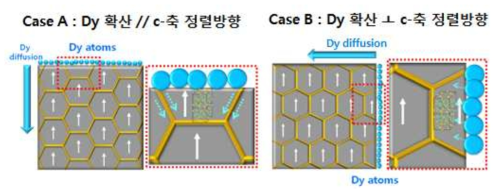 소결자석 내에서의 Dy의 입계 확산 거동