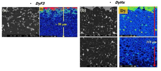 DyF3 분말 (a)과 DyHx 분말 (b)을 사용하여 건식입계확산처리한 자석에서의 Dy 분포. 열처리 조건 : (a) 910 ℃/8h, (b) 880 ℃/2h