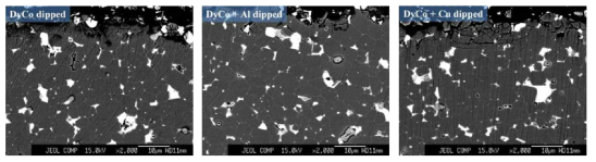 DyCo, DyCo+Al, DyCo+Cu 코팅용액으로 입계확산된 소결자석의 BSE 이미지